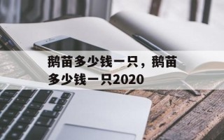 鹅苗多少钱一只，鹅苗多少钱一只2020