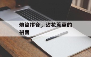 炮筒拼音，沾花惹草的拼音