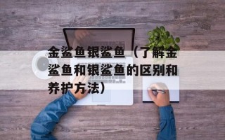 金鲨鱼银鲨鱼（了解金鲨鱼和银鲨鱼的区别和养护方法）
