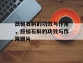 鼓槌石斛的功效与作用，鼓槌石斛的功效与作用图片