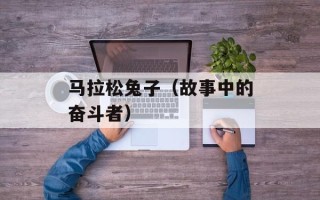 马拉松兔子（故事中的奋斗者）