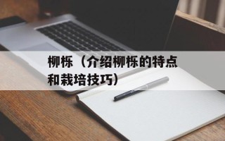 柳栎（介绍柳栎的特点和栽培技巧）