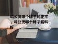 鸡公煲哪个牌子的正宗，鸡公煲哪个牌子酱料好