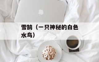 雪鹄（一只神秘的白色水鸟）