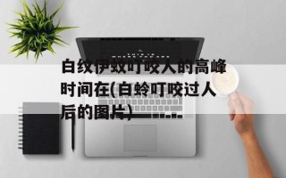 白纹伊蚊叮咬人的高峰时间在(白蛉叮咬过人后的图片)