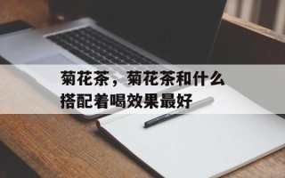 菊花茶，菊花茶和什么搭配着喝效果最好