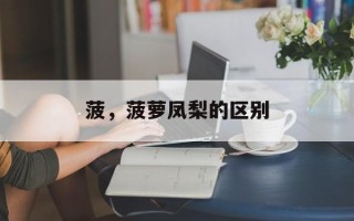 菠，菠萝凤梨的区别
