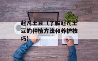 起凡土豆（了解起凡土豆的种植方法和养护技巧）