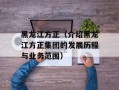 黑龙江方正（介绍黑龙江方正集团的发展历程与业务范围）