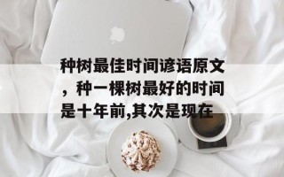 种树最佳时间谚语原文，种一棵树最好的时间是十年前,其次是现在