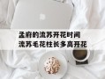 孟府的流苏开花时间 流苏毛花柱长多高开花