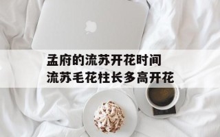孟府的流苏开花时间 流苏毛花柱长多高开花