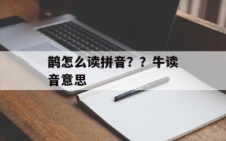 鹊怎么读拼音？？牛读音意思