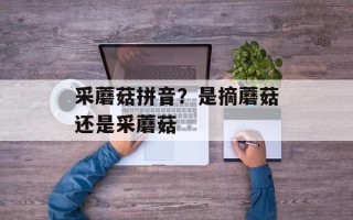 采蘑菇拼音？是摘蘑菇还是采蘑菇