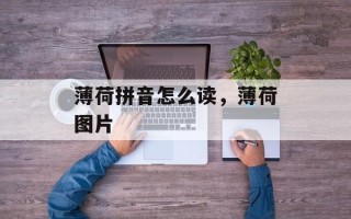 薄荷拼音怎么读，薄荷图片