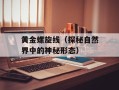 黄金螺旋线（探秘自然界中的神秘形态）