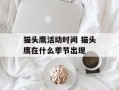 猫头鹰活动时间 猫头鹰在什么季节出现