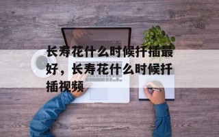 长寿花什么时候扦插最好，长寿花什么时候扦插视频