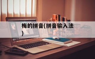 梅的拼音(拼音输入法)