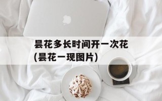 昙花多长时间开一次花(昙花一现图片)