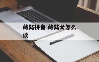 藏獒拼音 藏獒犬怎么读