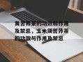 黄苦荞茶的功效和作用及禁忌，玉米须苦荞茶的功效与作用及禁忌