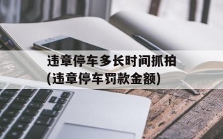 违章停车多长时间抓拍(违章停车罚款金额)