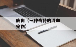 鹿狗（一种奇特的混血宠物）