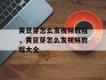 黄豆芽怎么发视频教程，黄豆芽怎么发视频教程大全
