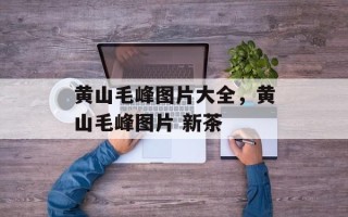 黄山毛峰图片大全，黄山毛峰图片 新茶