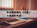 龟池建造图片（打造一个美丽的龟池）