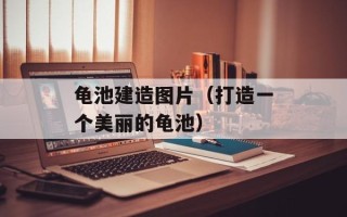 龟池建造图片（打造一个美丽的龟池）