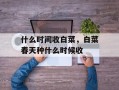 什么时间收白菜，白菜春天种什么时候收