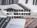 麻辣大龙虾的做法大全窍门，麻辣大龙虾的做法大全视频窍门