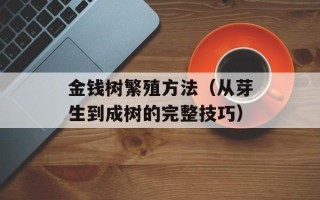 金钱树繁殖方法（从芽生到成树的完整技巧）