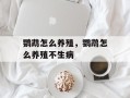 鹦鹉怎么养殖，鹦鹉怎么养殖不生病