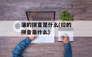 蒲的拼音是什么(拉的拼音是什么)