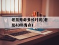 老鼠寿命多长时间(老鼠40年寿命)