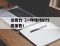 龙鳞竹（一种独特的竹类植物）