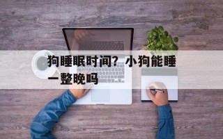 狗睡眠时间？小狗能睡一整晚吗