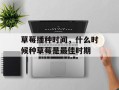 草莓播种时间，什么时候种草莓是最佳时期