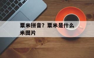 粟米拼音？粟米是什么米图片