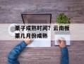 栗子成熟时间？云南板栗几月份成熟
