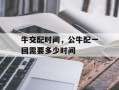 牛交配时间，公牛配一回需要多少时间