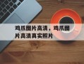 鸡爪图片高清，鸡爪图片高清真实照片
