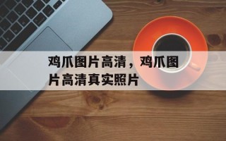 鸡爪图片高清，鸡爪图片高清真实照片