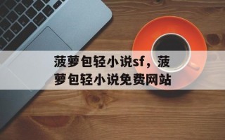 菠萝包轻小说sf，菠萝包轻小说免费网站