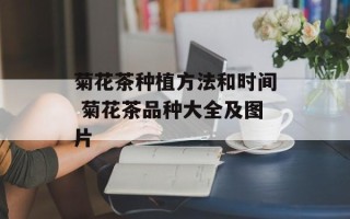 菊花茶种植方法和时间 菊花茶品种大全及图片