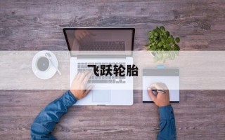 飞跃轮胎