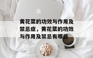 黄花菜的功效与作用及禁忌症，黄花菜的功效与作用及禁忌有哪些